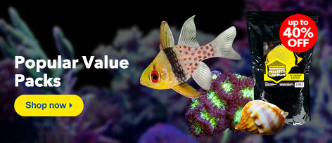 Quality Aquarium Fish, & Equipment