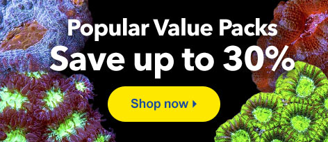 Popular Value Packs