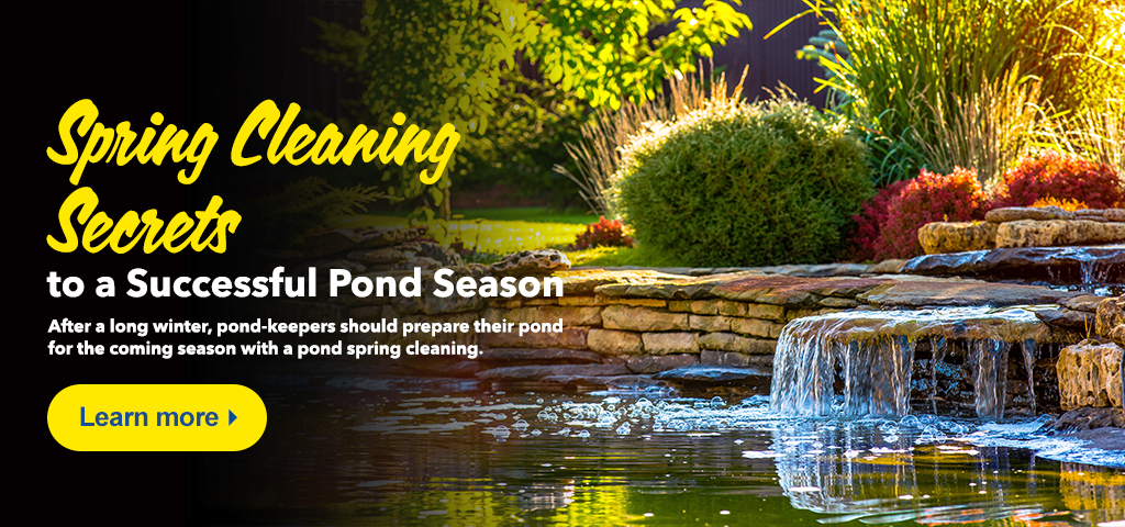 Pond Educational