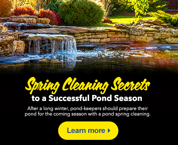 Pond Educational