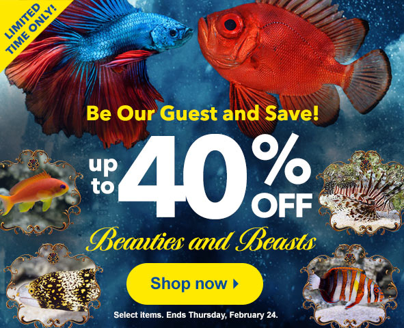 online aquarium fish store