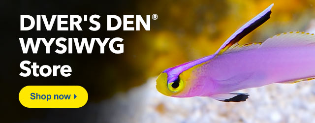 Diver's Den