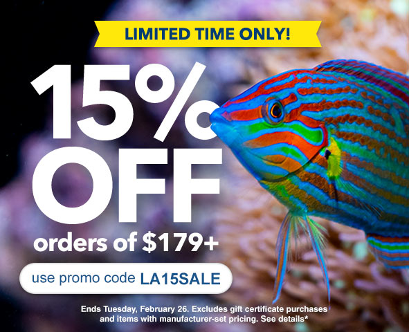 liveaquaria quality aquarium fish