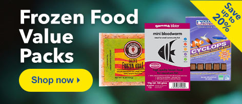 Frozen Food