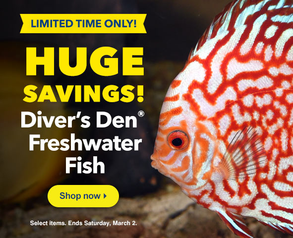 liveaquaria quality aquarium fish