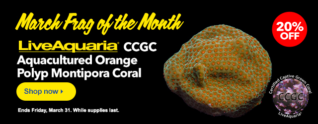 March Frag of the Month