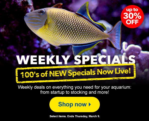 LiveAquaria | Quality Aquarium Fish, Supplies & Equipment