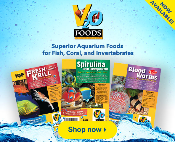 V2O Foods Now Available