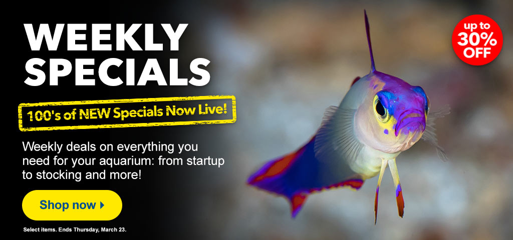 Weekly Specials