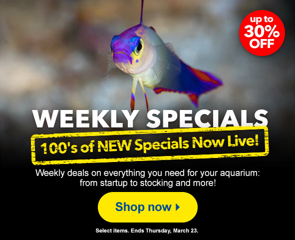 Weekly Specials