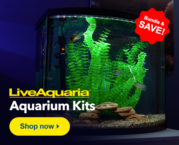 Bundle and Save with LiveAquaria Aquarium Kits
