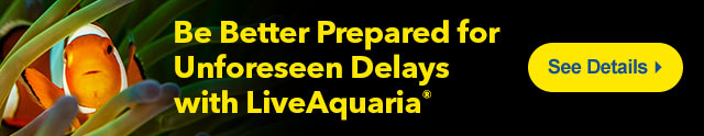 Be Prepared for Delays