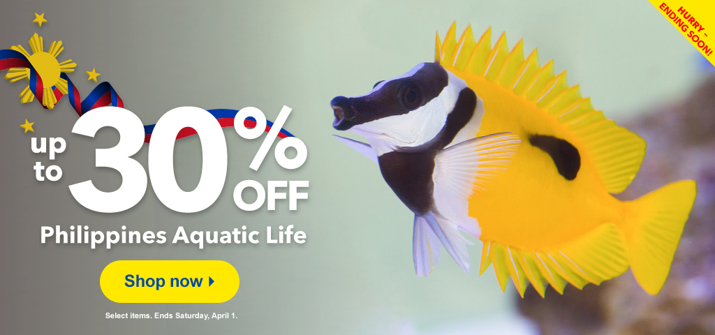 Save on Philippine marine life