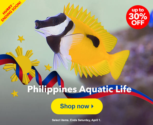 Save on Philippine marine life 