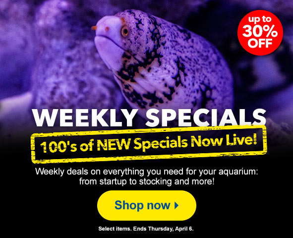 Weekly Specials