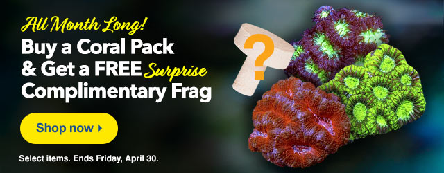 Free Frag with Coral Pack