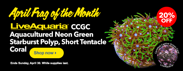 April Frag of the Month