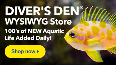 Shop Diver's Den WYSIWYG Store