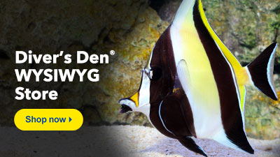 Diver's Den
