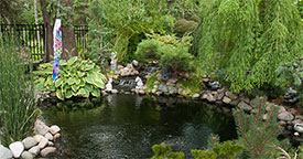 Creating Natural Pondscapes