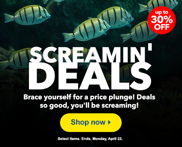Screaming Deals
