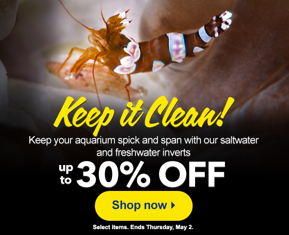 Saltwater and Freshwater Inverts up to 30% OFF