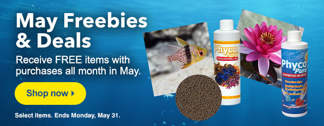 Monthly Freebies