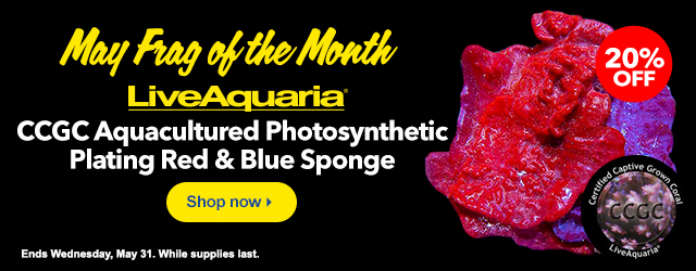 May Frag of the Month