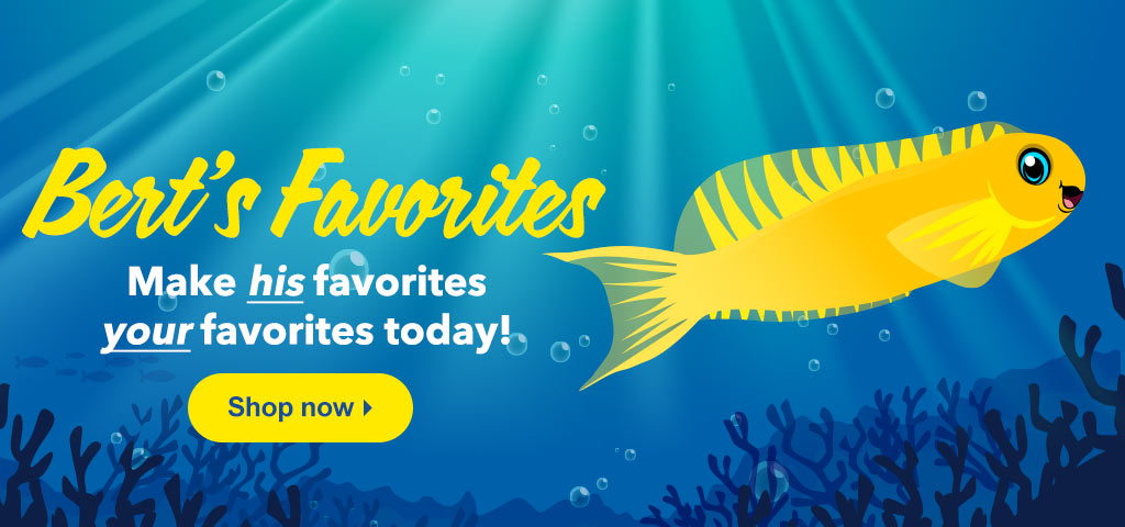 Bert the Blenny's Favorites