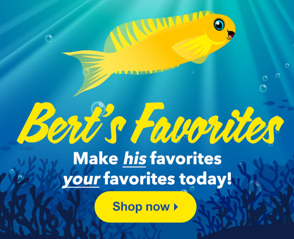 Bert the Blenny's Favorites