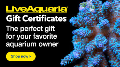 Gift Certificates