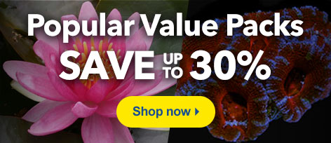 Popular Value Packs