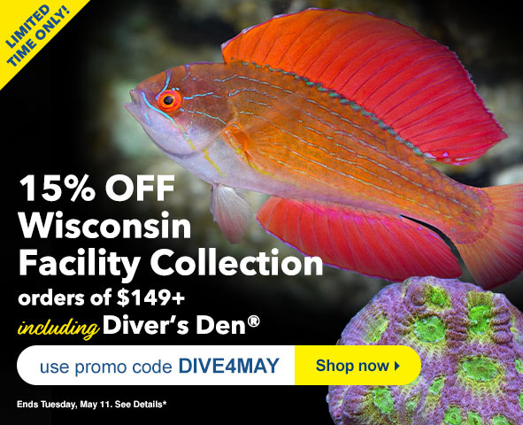 Divers Den Promo