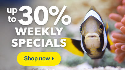 Up to 30% Off Weekly Specials