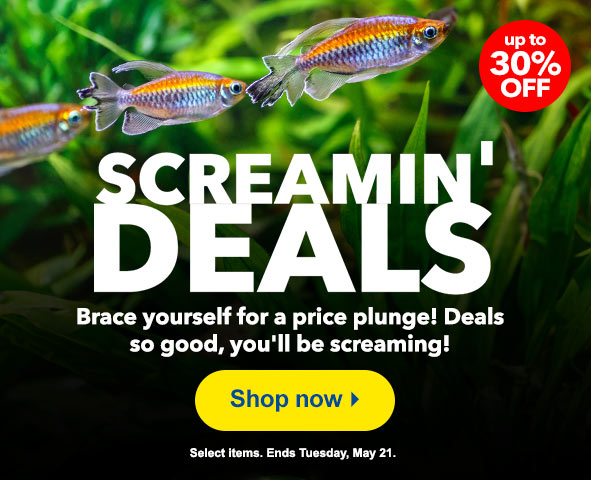 Screaming Deals up to 30% OFF