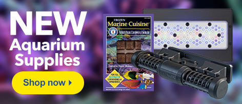 Shop NEW Aquarium Supplies