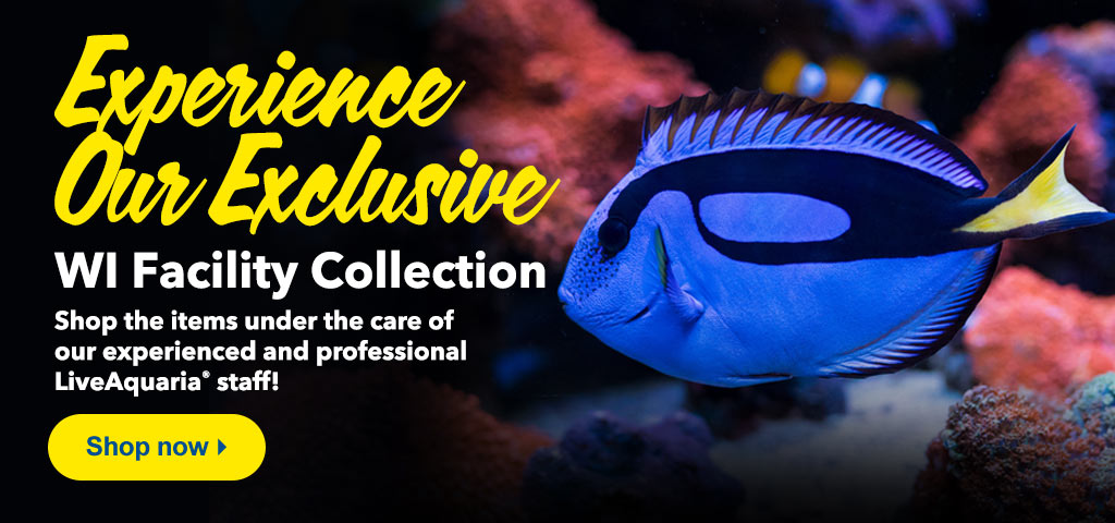 Explore our WI Facility Collection