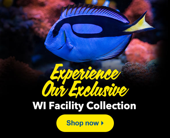 Explore our WI Facility Collection