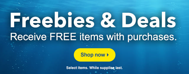 Monthly Freebies