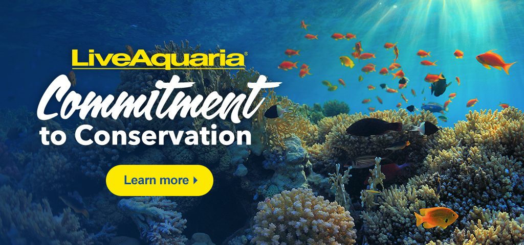 LiveAquaria Commitment to Conservation