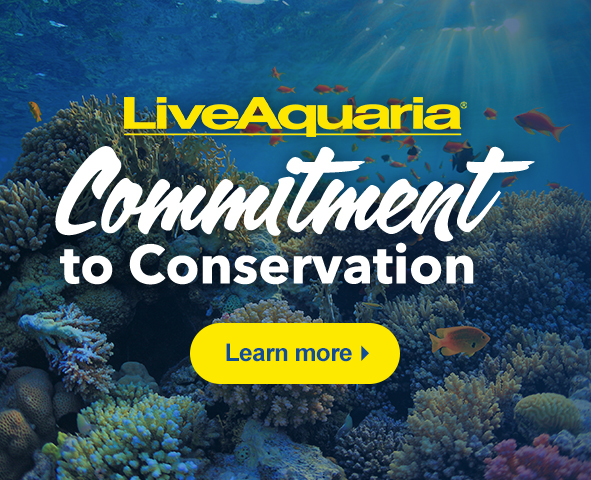 LiveAquaria Commitment to Conservation