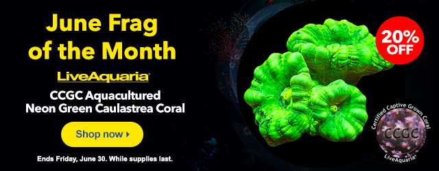 June Frag of the Month