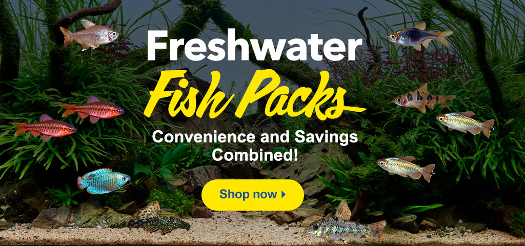 Our Freshwater Fish Packs save you money