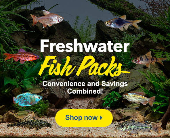 Our Freshwater Fish Packs save you money