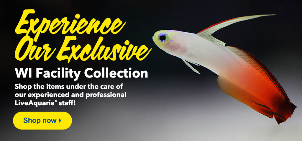 Shop our Wisconsin Facility Collection
