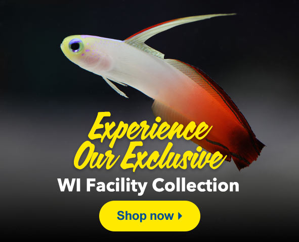 Shop our Wisconsin Facility Collection