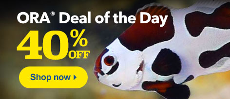 ORA Deal of the Day