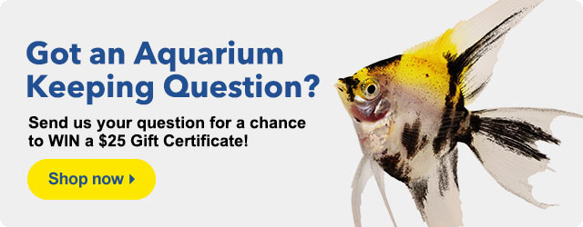 Live Q&A Submissions