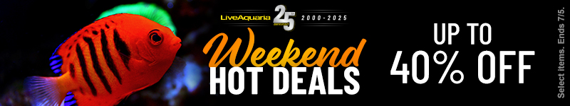 Weekend Hot Deals