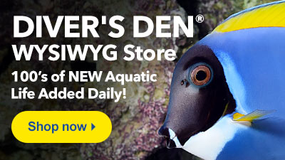 Shop Diver's Den WYSIWYG Store